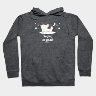 Funny Cat Pun So Fur, So Good Hoodie